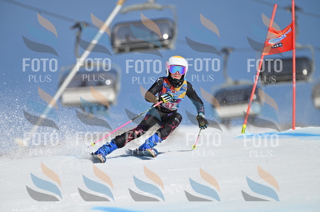 BGV_8281 | holidayphoto