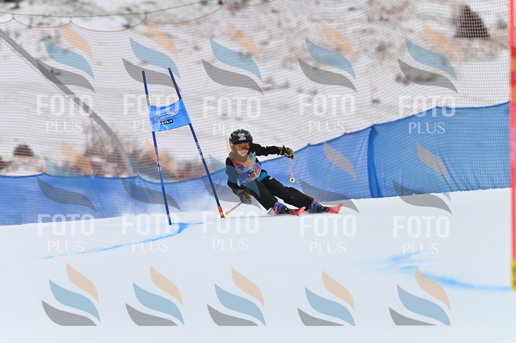 BGV_0155 | holidayphoto