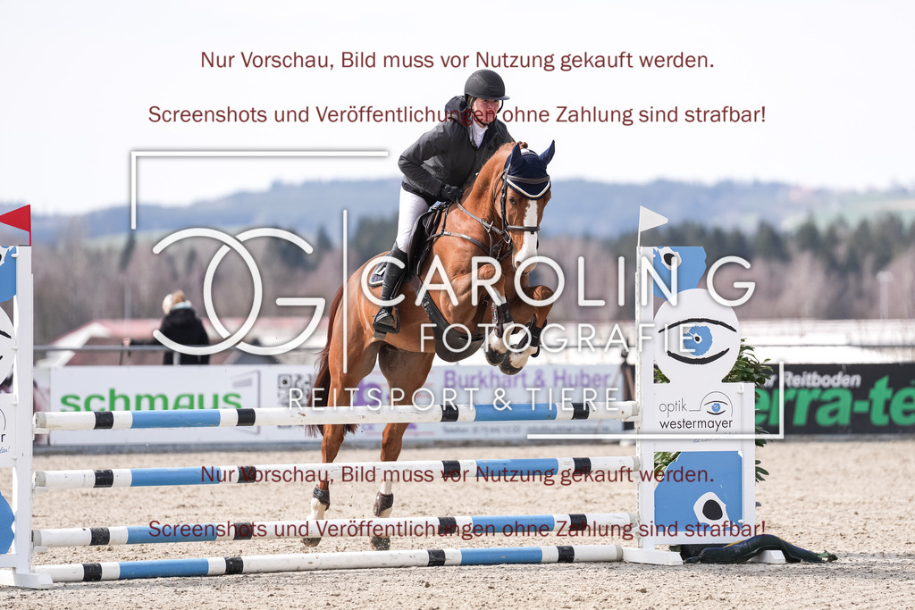 DSC05854 | Late_entry_Springturnier_Bad_Wurzach, Kathrine_Wingerter, Romeo_B5