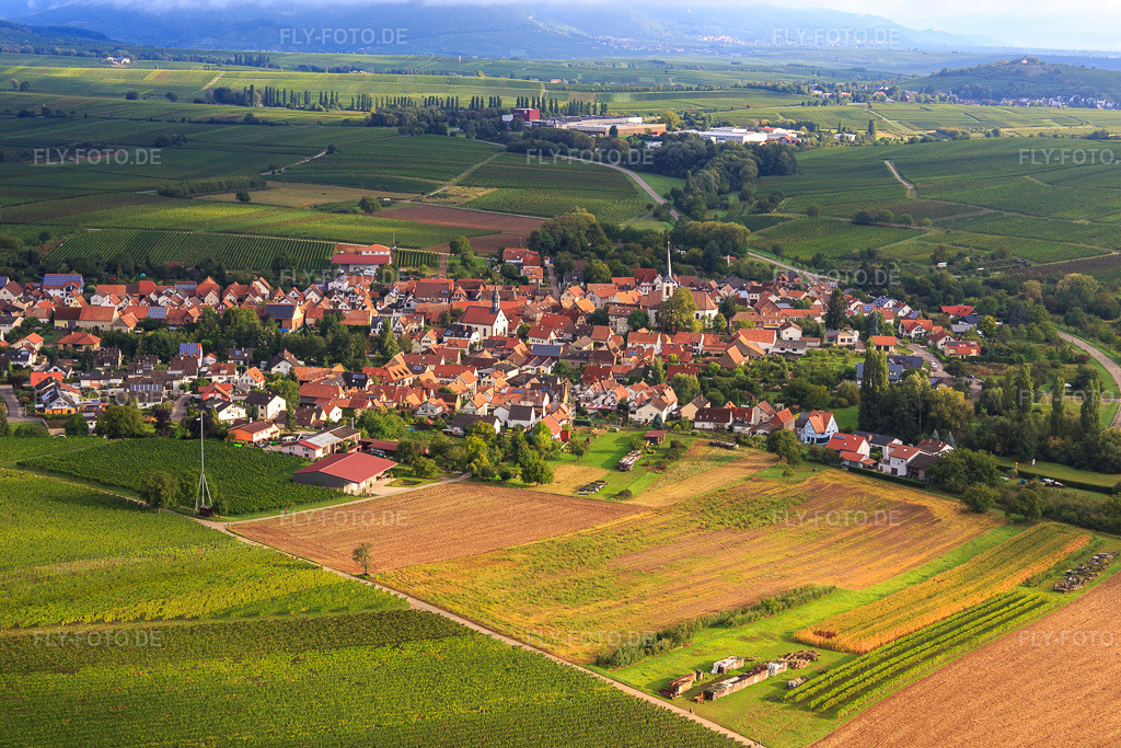 Luftbild: Dorfansicht aus Südwesten in Göcklingen im Bundesland Rheinland-Pfalz in Deutschland. Foto: IMG_103302.jpg vom 10.09.2017 durch Werner Riehm/FLY-FOTO.de