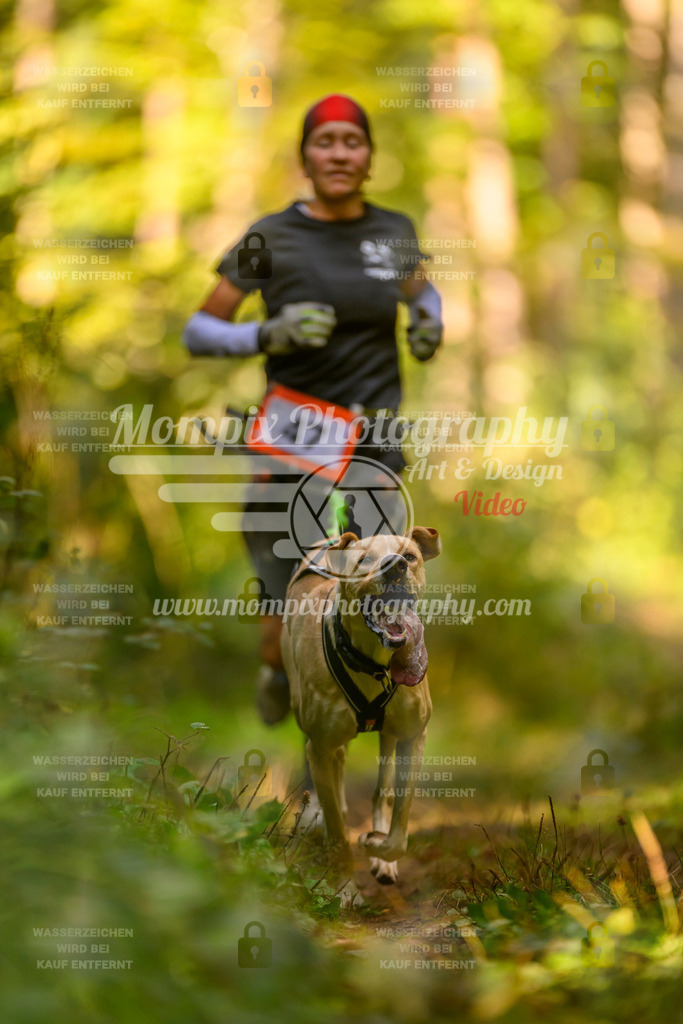 MompixPhotography_Yens2025_B3-13 | PayLife