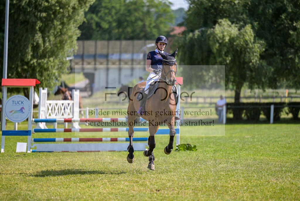Reitturnier Voxtrup | Entdecke hochwertige Reitturnierfotos von Foto Oger. Professionell, emotional und authentisch – jetzt Lieblingsmomente im Shop bestellen.Deutschlandweite Turnierfotografie. - Realisiert mit Pictrs.com