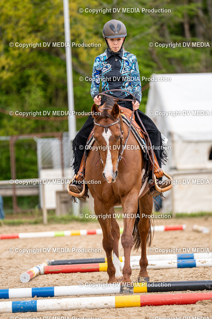 Heiligenwald Tag 1-862 | dv-media-shop - Realisiert mit Pictrs.com