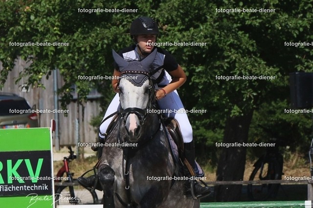 Zeit L (20) | Fotografie, Tiere, Hunde, Katzen, Pferde, Sportfotografie, Fotosession, Tierfotografie, Turnierfotografie, Fotografin, Fotograf - Realisiert mit Pictrs.com