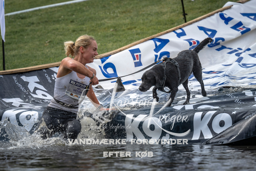 1545_ZZ96445 | kk-dogfotos