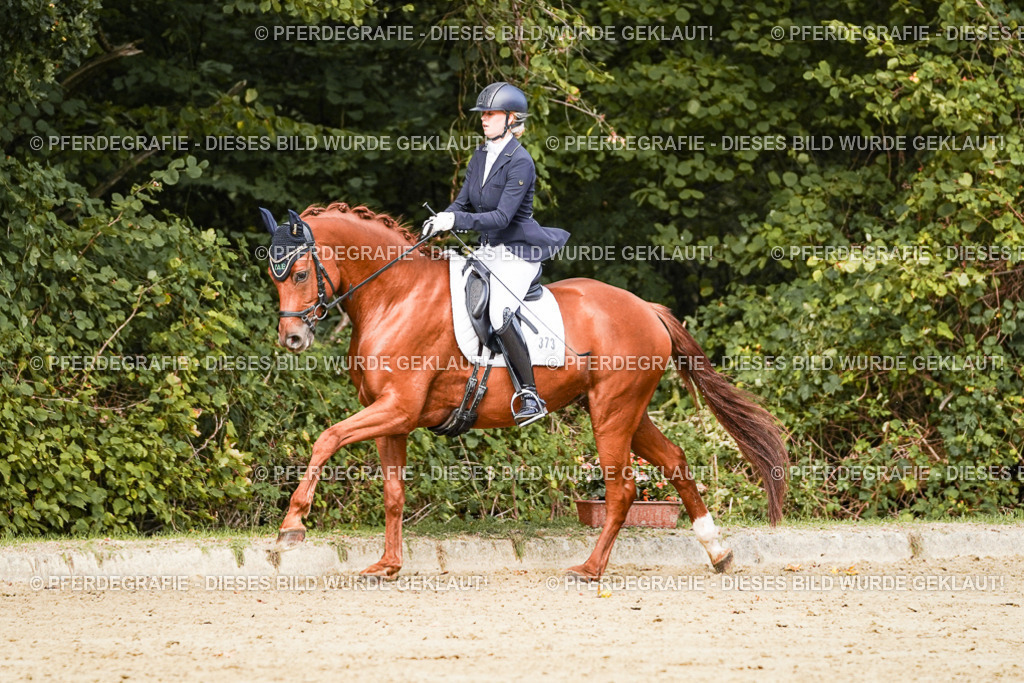 DSC02780 | Pferdegrafie