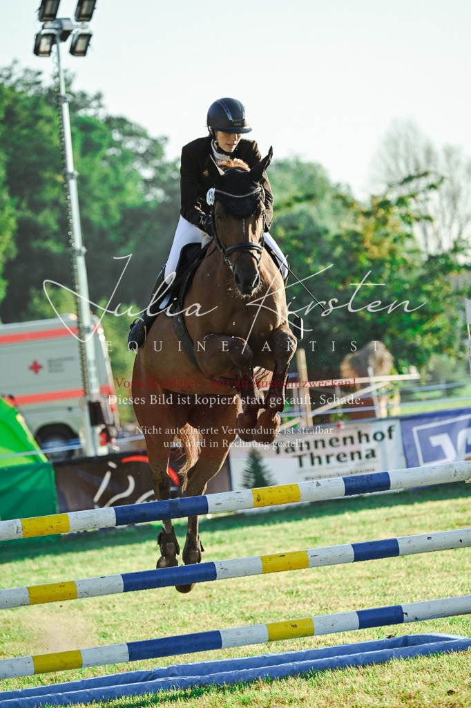 DSC_3933 | Pferde- und Turnierfotografie in Westsachsen. Pferdeportraits, Auftragszeichnungen und intuitive Kunst.