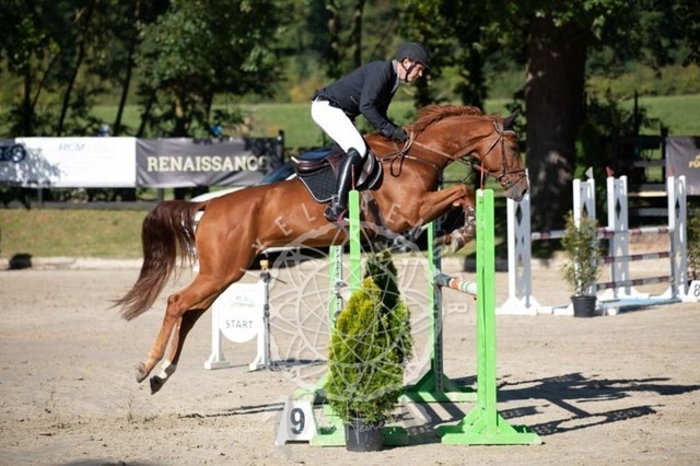 2B4A0664 | pixelfaenger - Realisiert mit Pictrs.com