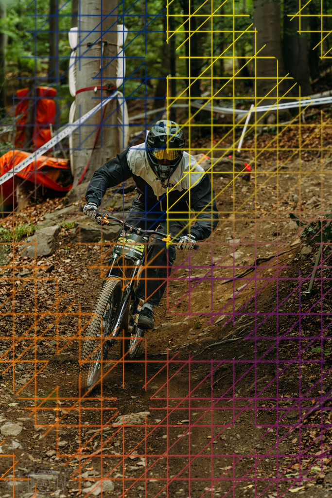 PAE-1579 | Einzigartige Fotokunst für dein Zuhause: Entdecke hochwertige Wandbilder, edle Prints und emotionale Motive von Wildlife, Natur und Landschaften - Realisiert mit Pictrs.com