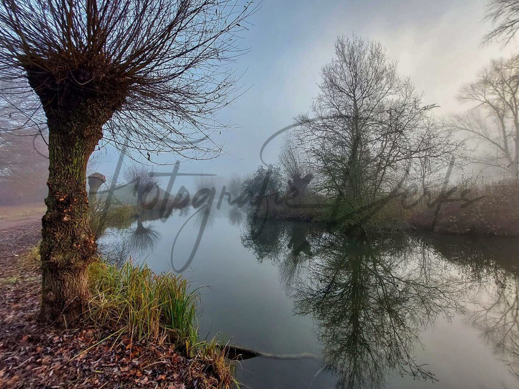 Bilder Homepage-19 | fotografie-derks - Realisiert mit Pictrs.com