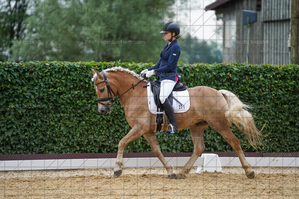 20240630-FAH00821 | Turnierbilder Schwabmünchen, Dressurbilder, Springreitturnier, Reitsportbilder, Turnierfotografen Bayern, Turnierfotograf