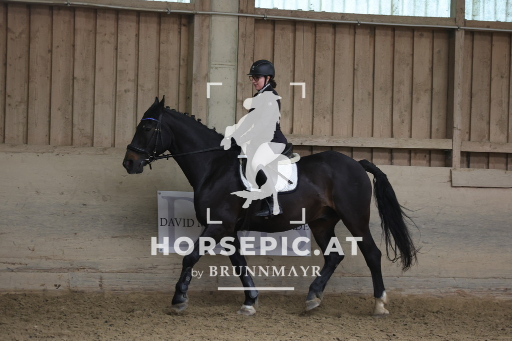 0P6A9401 | Willkommen bei Brunnmayr - Design & Fotografie – Ihrem Spezialisten für Reitturniere und Pferdeveranstaltungen in Oberösterreich, Salzburg und Bayern! Seit über 17 Jahren sind wir leidenschaftlich dabei.