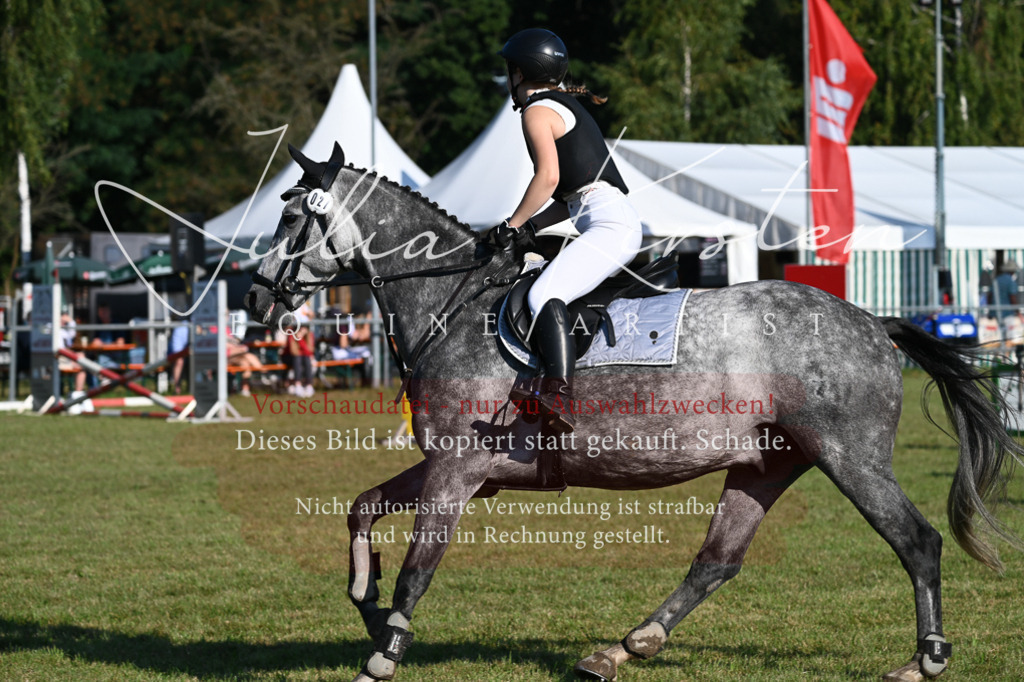DSC_4871 | Pferde- und Turnierfotografie in Westsachsen. Pferdeportraits, Auftragszeichnungen und intuitive Kunst.