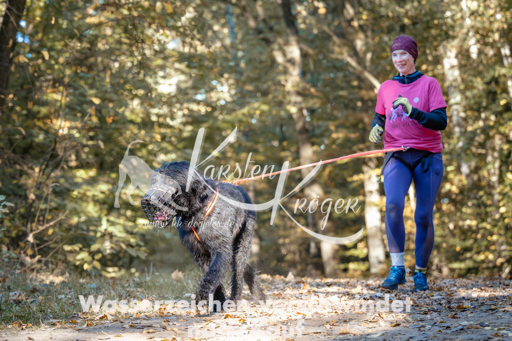 1042_ZZ90767 | kk-dogfotos