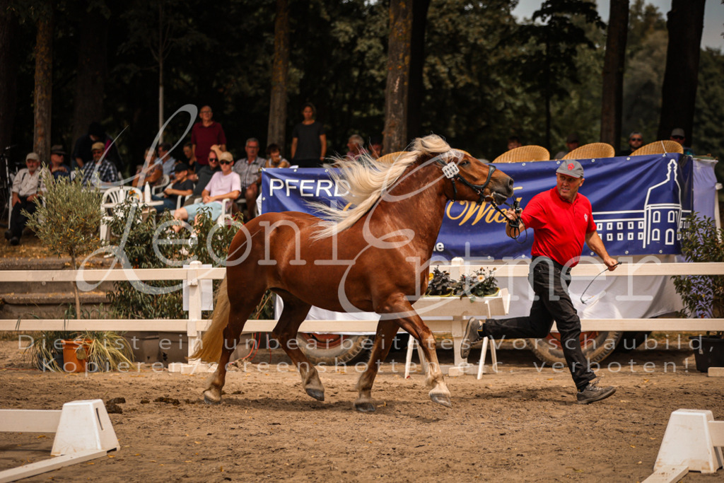 5.Sa00043 | Leoni Ertmer Photography - Realisiert mit Pictrs.com