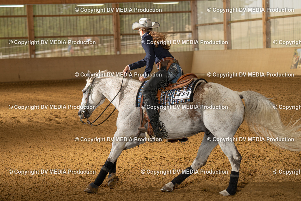 LAU01380 | dv-media-shop - Realisiert mit Pictrs.com