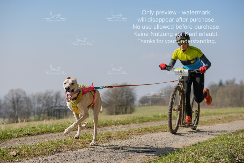 Scooter_Lang-113 | stephaniefillaphotographie - Realisiert mit Pictrs.com