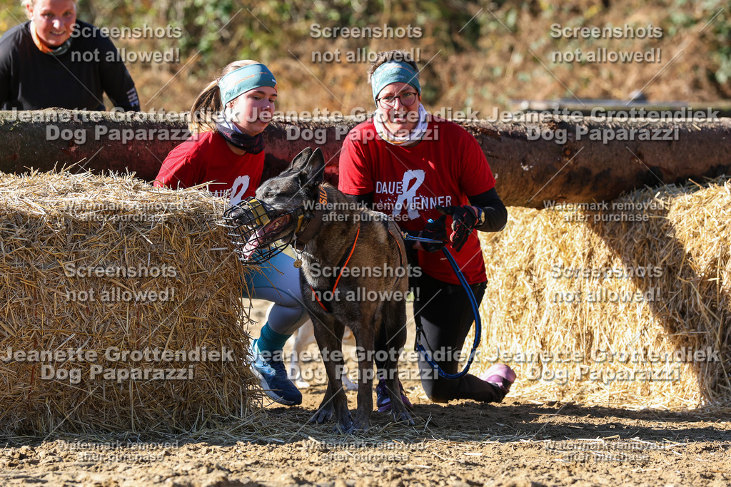 Dog Paparazzi - Strongdog 10-25-2784 | Dog Paparazzi Jeanette Grottendiek Fotografie & Videografie - Realisiert mit Pictrs.com