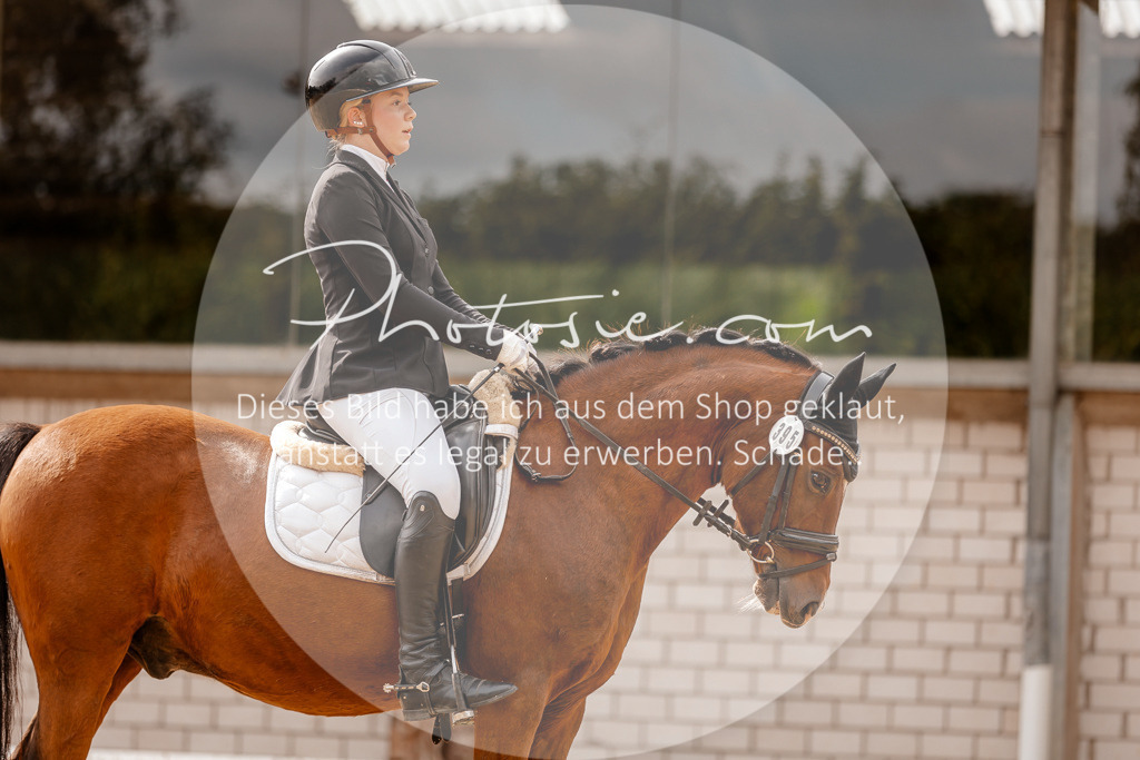 3I6A7556 | Stimmungsvolle Portraits und Reitsportfotografie im Ruhrgebiet und im Münsterland.

Pferdefotografie, Hundefotografie, Tierfotografie, Reportagen, Portraits von Tier und Mensch, Turnierfotografie in Bochum, Recklinghausen, Marl, Haltern am See, Dülmen.. - Realisiert mit Pictrs.com