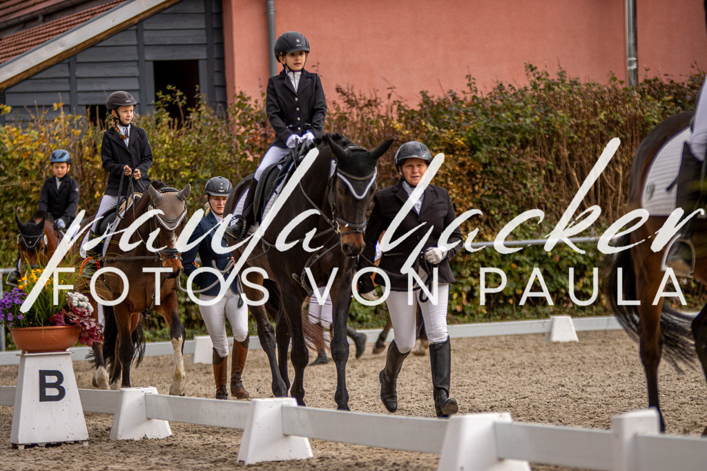 IMG_3828 | Erleben Sie dynamische Sport- und emotionale Tierfotografie in Süddeutschland mit Fotos von Paula. Spezialisiert auf Pferde- und Hundefotografie sowie Sportevents. Kontaktieren Sie mich für einzigartige und ausdrucksstarke Bilder Ihrer besonderen Momente. - Realisiert mit Pictrs.com
