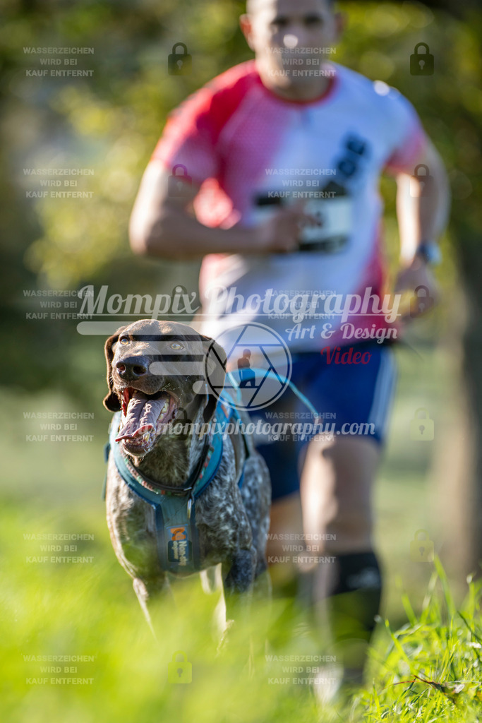 MompixPhotography_20TSB_E3_Run-86 | PayLife