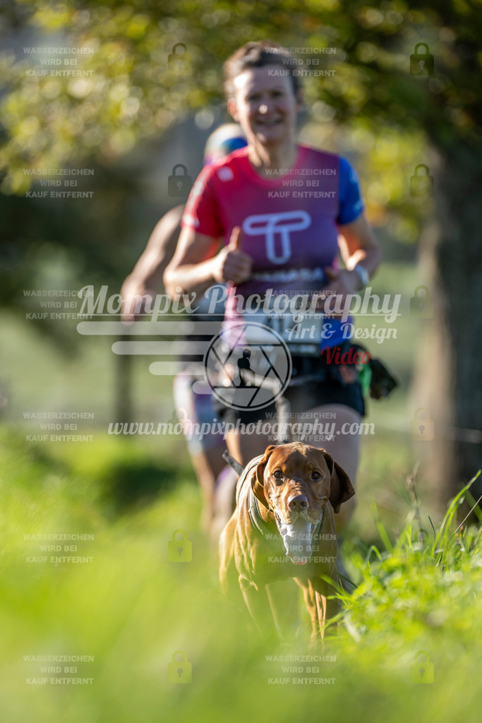 MompixPhotography_20TSB_E3_Run-34 | PayLife