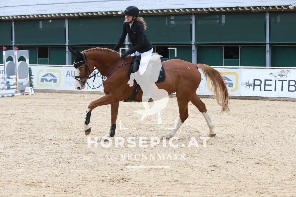 DL2Q0877 | Willkommen bei Brunnmayr - Design & Fotografie – Ihrem Spezialisten für Reitturniere und Pferdeveranstaltungen in Oberösterreich, Salzburg und Bayern! Seit über 17 Jahren sind wir leidenschaftlich dabei.