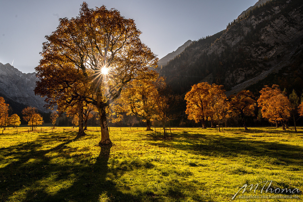 Großer Ahornboden | Dies ist der Online-Shop von naturfoto.michaelthoma.de. Ich bin leidenschaftlicher Naturfotograf und fotografiere von der Andromedagalaxie bis zum Zwergtaucher, von der Ameise bis zum Orionnebel alles was mit Natur zu tun hat. Hier kann eine Auswahl meine - Realisiert mit Pictrs.com