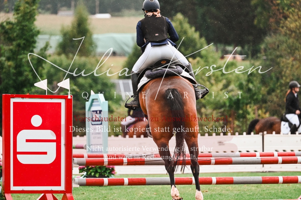DSC_6397 | Pferde- und Turnierfotografie in Westsachsen. Pferdeportraits, Auftragszeichnungen und intuitive Kunst.