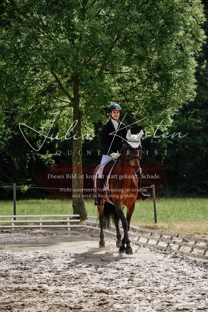DSC_9818 | Pferde- und Turnierfotografie in Westsachsen. Pferdeportraits, Auftragszeichnungen und intuitive Kunst.