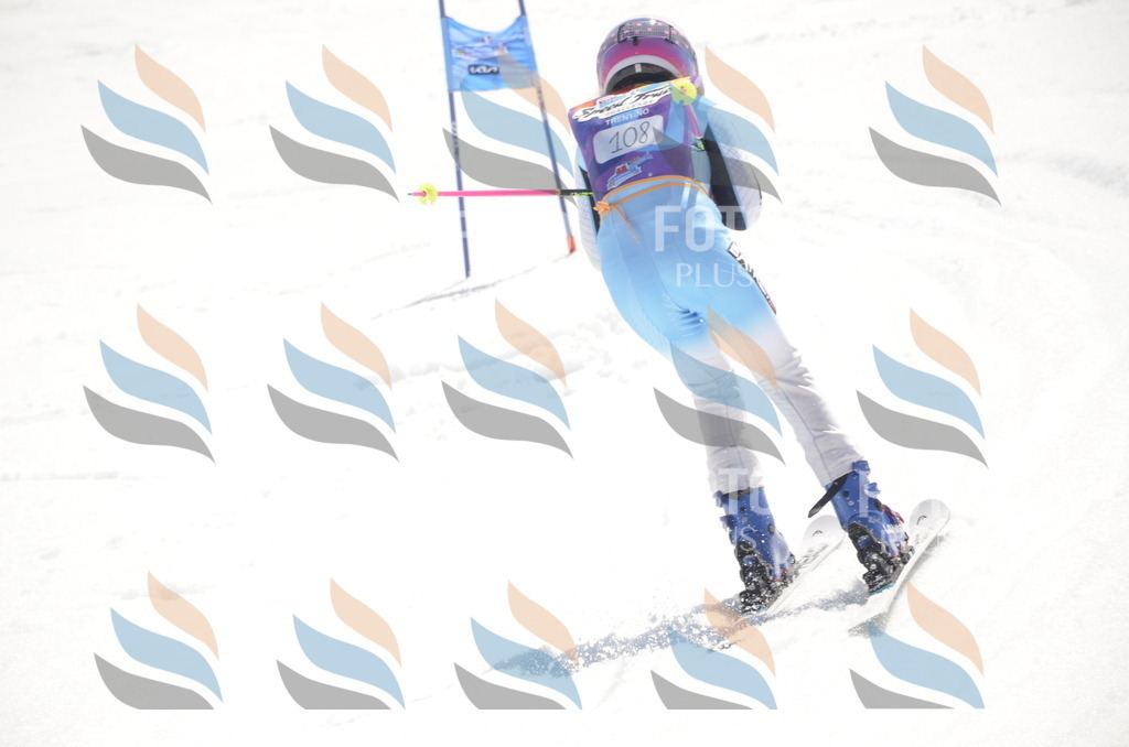 _ELE9452 | holidayphoto