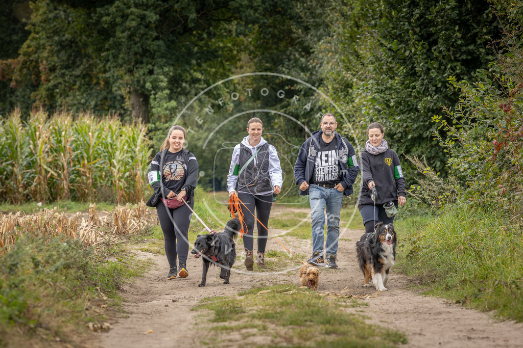 Pfotenfotografie_DV3A6199 | Hundefotografie, Tierfotograf, Pfotenfotografie, Fotoshooting Hund, Hunde Portrait, Hundesport, Hundeportraits, Heideshooting, Hunde, Sportfotograf, Hundefotograf, Turnierhundsport, THS,  - Realisiert mit Pictrs.com
