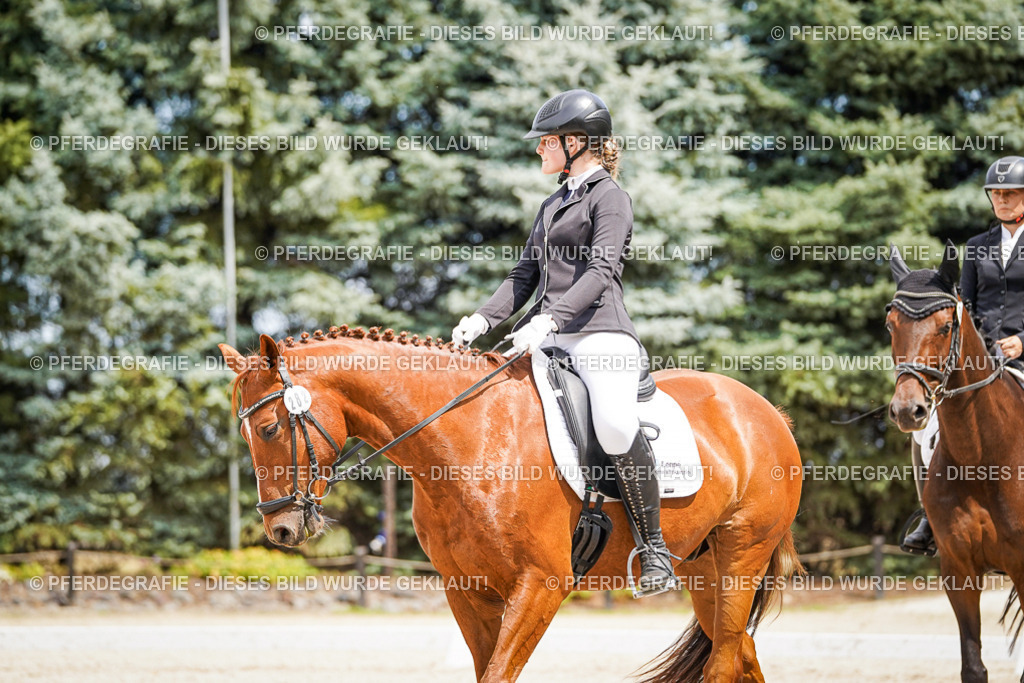 DSC03675 | Pferdegrafie