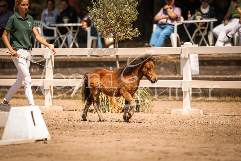 01.DoKR00031 | Leoni Ertmer Photography - Realisiert mit Pictrs.com