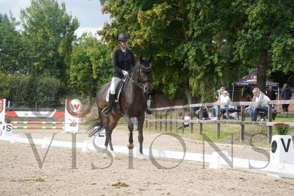 rveinoedsamstag (1441) | d.tail Visions - Shop - Realisiert mit Pictrs.com