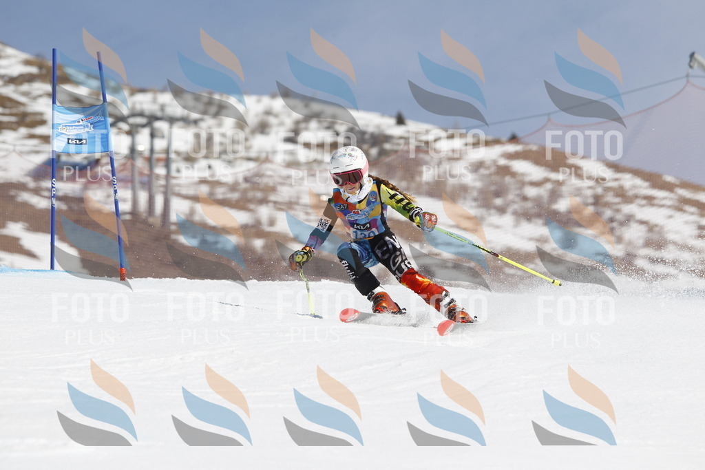 _U3G0854 | holidayphoto