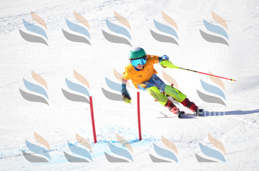 C6418 | holidayphoto