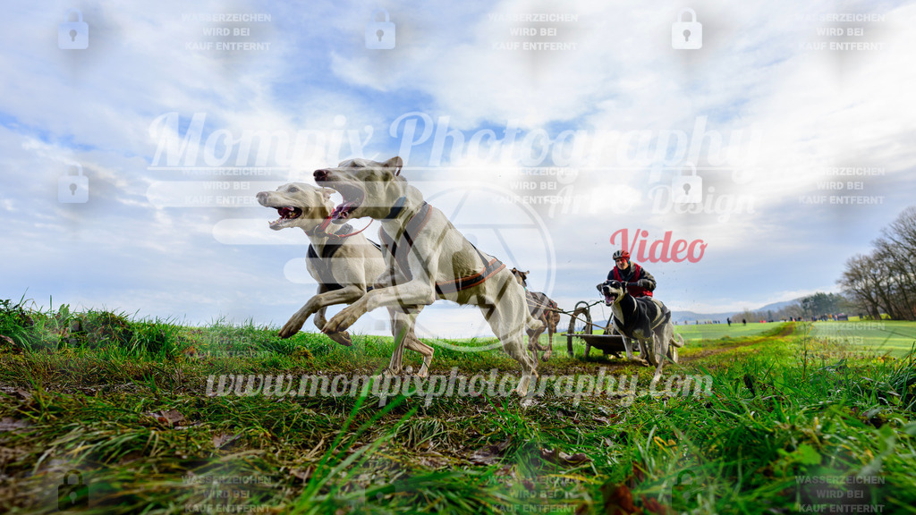 MompixPhotography_Staufertrail2024_SO_Kart-4 | PayLife