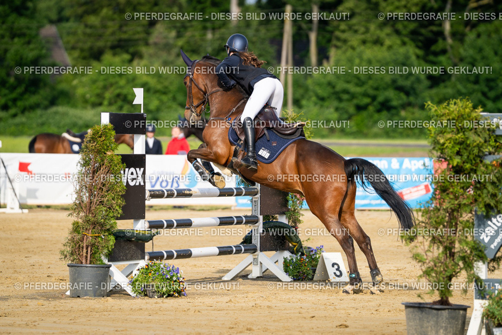 DSC02922 | Pferdegrafie