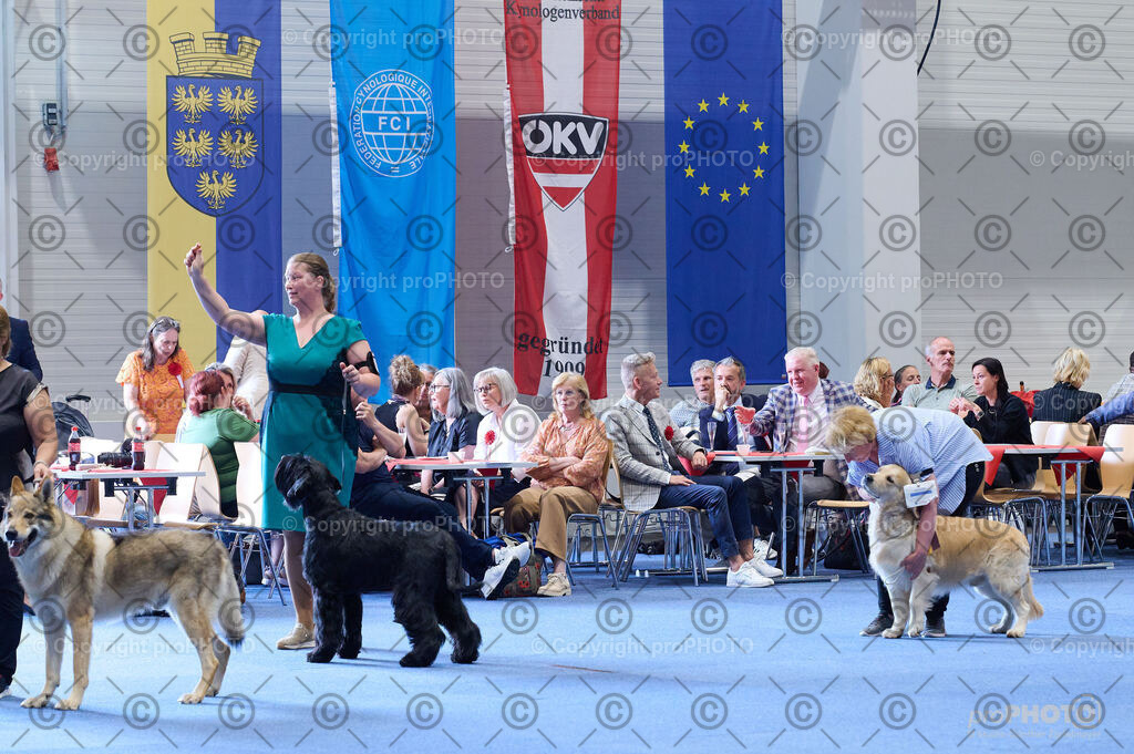 202406_ÖKV-IHA-Tulln24_DSC_4874 | proPHOTO - Realisiert mit Pictrs.com