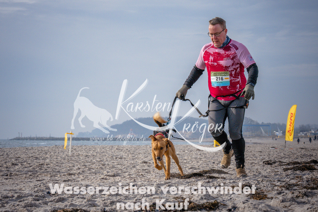 1014_ZZ94242 | kk-dogfotos