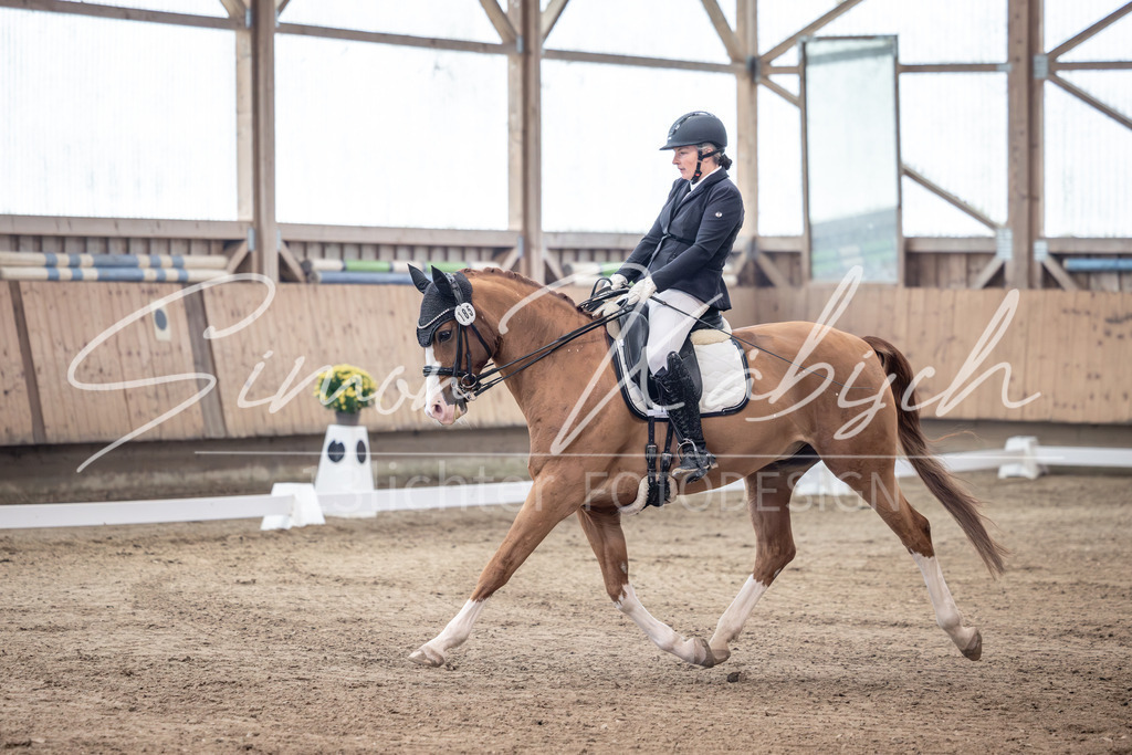 20251011-_3LI1075 | Tierfotografie Pferde, Hunde, Katzen, Haustiere.
Turnierfotografie Reitturniere, Reiten, Springreiten, Dressur in Hanau, dem Main-Kinzig-Kreis und dem Rhein-Main- Gebiet um Frankfurt