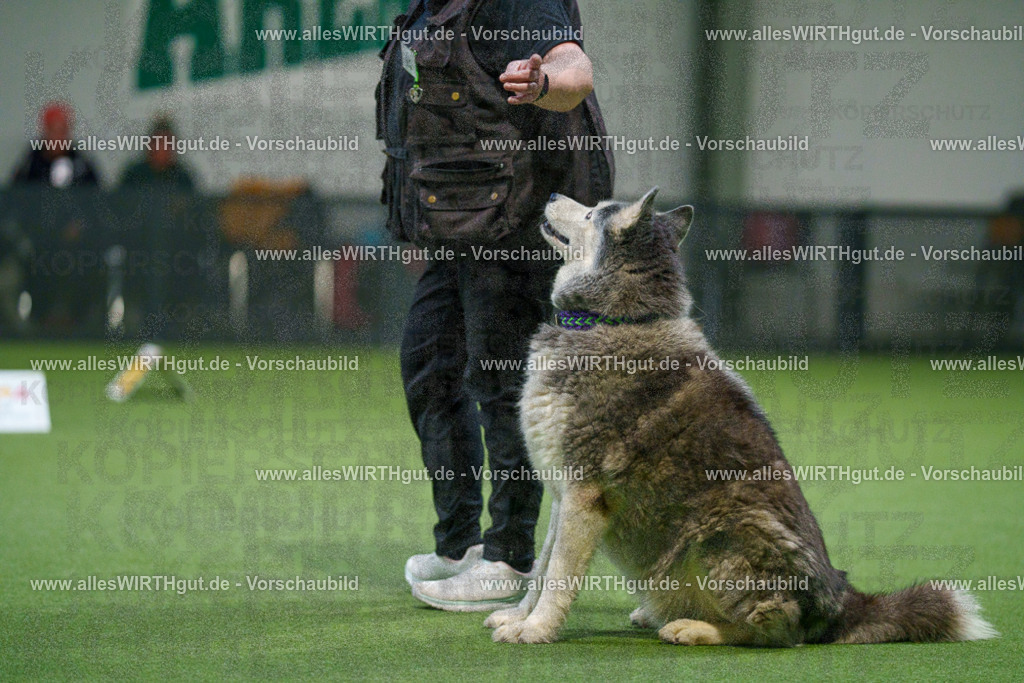 7R504406 | Professionelle Tierfotografie in Mönchengladbach von Daniel Wirth (allesWIRTHgut). Liebevolle & natürliche Bilder von Hunden & Katzen für unvergessliche Erinnerungen.