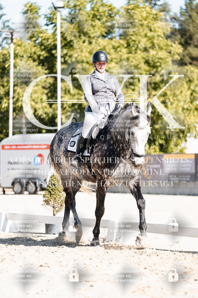 CK908355 | Turnierfotografie Pferdefotografie Trier Rheinland-Pfalz Pferdesport Reitsport Tierfotografie Sportfotografie Pferdevideo Pferdevideografie Equestrianvideography equestrianphotography  - Realisiert mit Pictrs.com