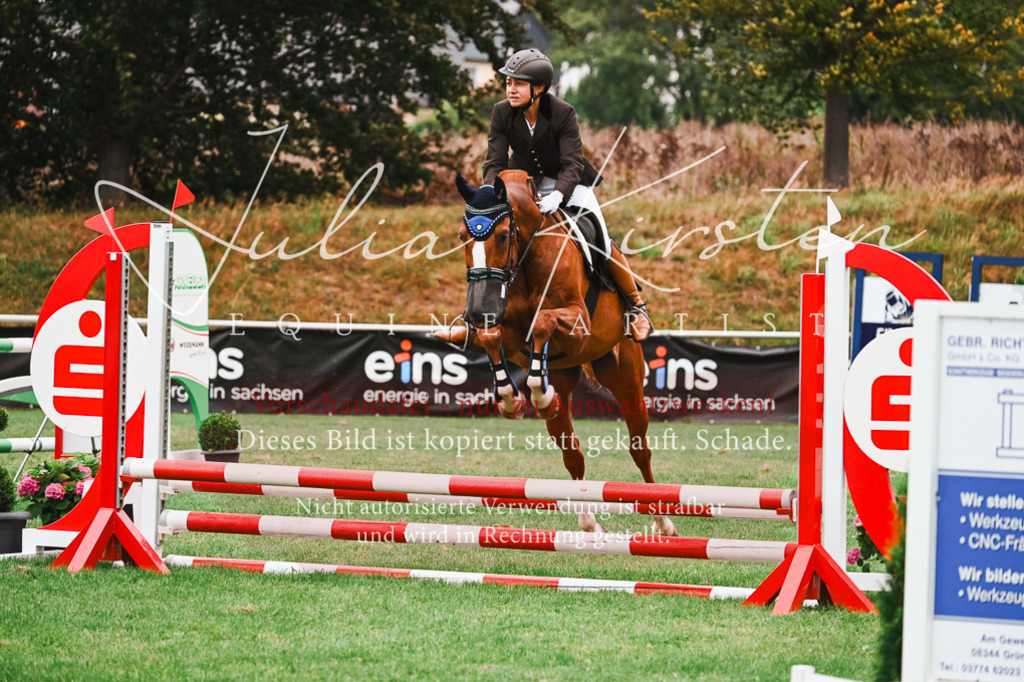 DSC_5881 | Pferde- und Turnierfotografie in Westsachsen. Pferdeportraits, Auftragszeichnungen und intuitive Kunst.