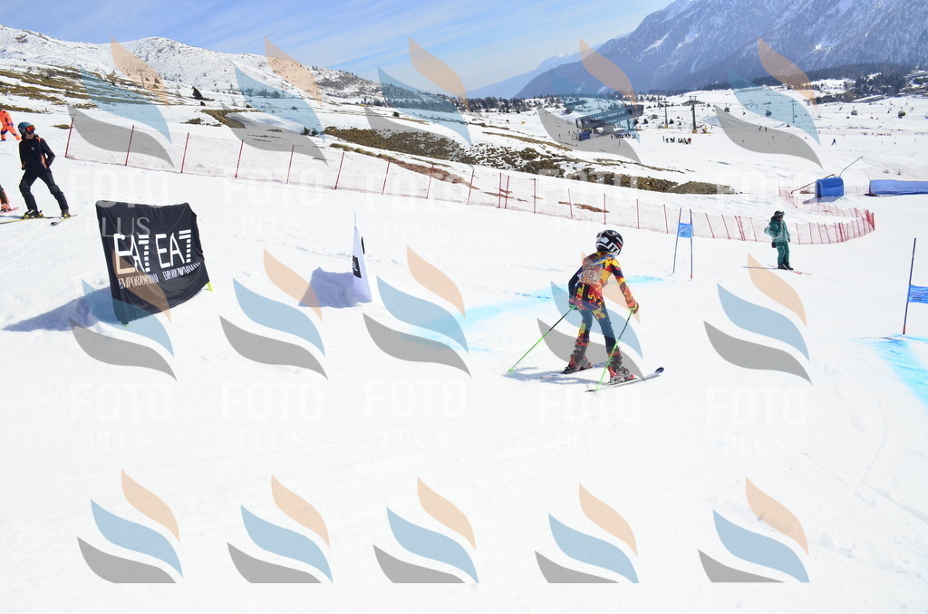 _ELE1095 | holidayphoto