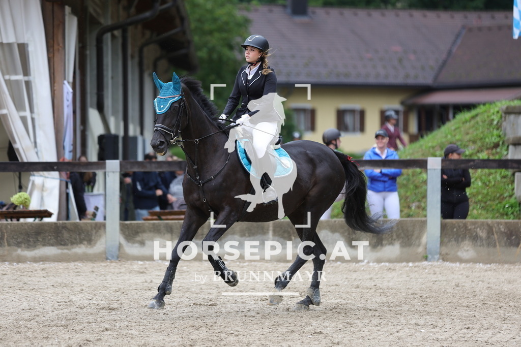 0P6A1216 | Willkommen bei Brunnmayr - Design & Fotografie – Ihrem Spezialisten für Reitturniere und Pferdeveranstaltungen in Oberösterreich, Salzburg und Bayern! Seit über 17 Jahren sind wir leidenschaftlich dabei.