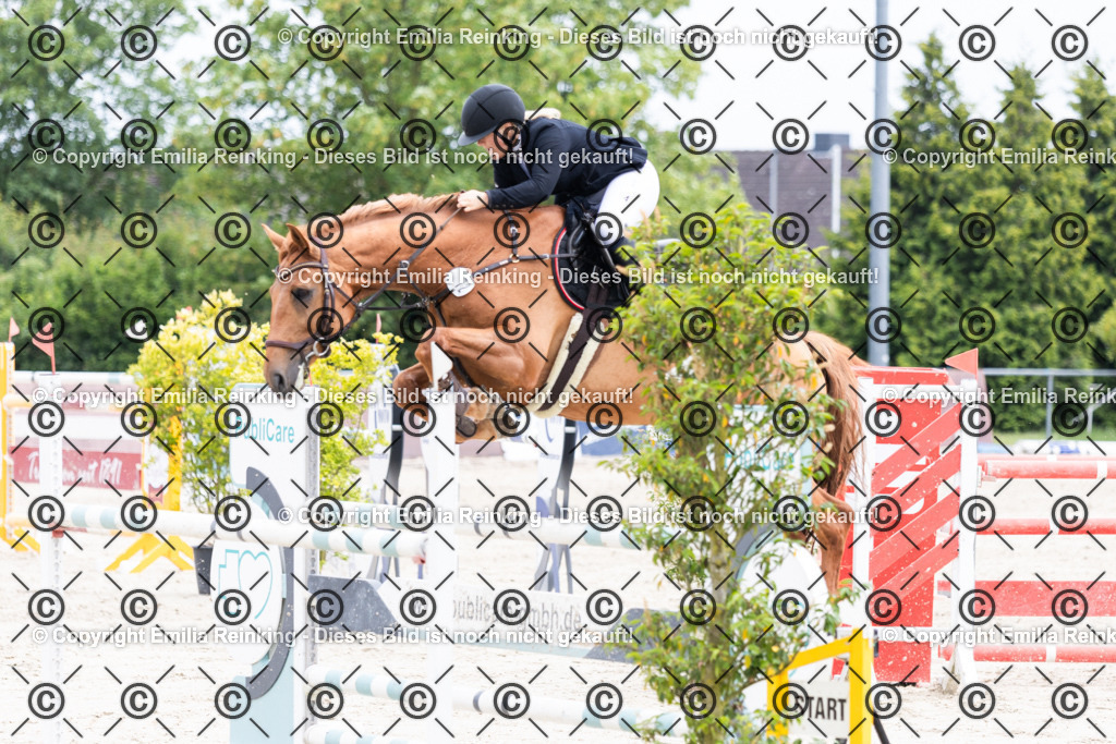 CL5A2526 | Emilia Reinking Fotografie - Realisiert mit Pictrs.com