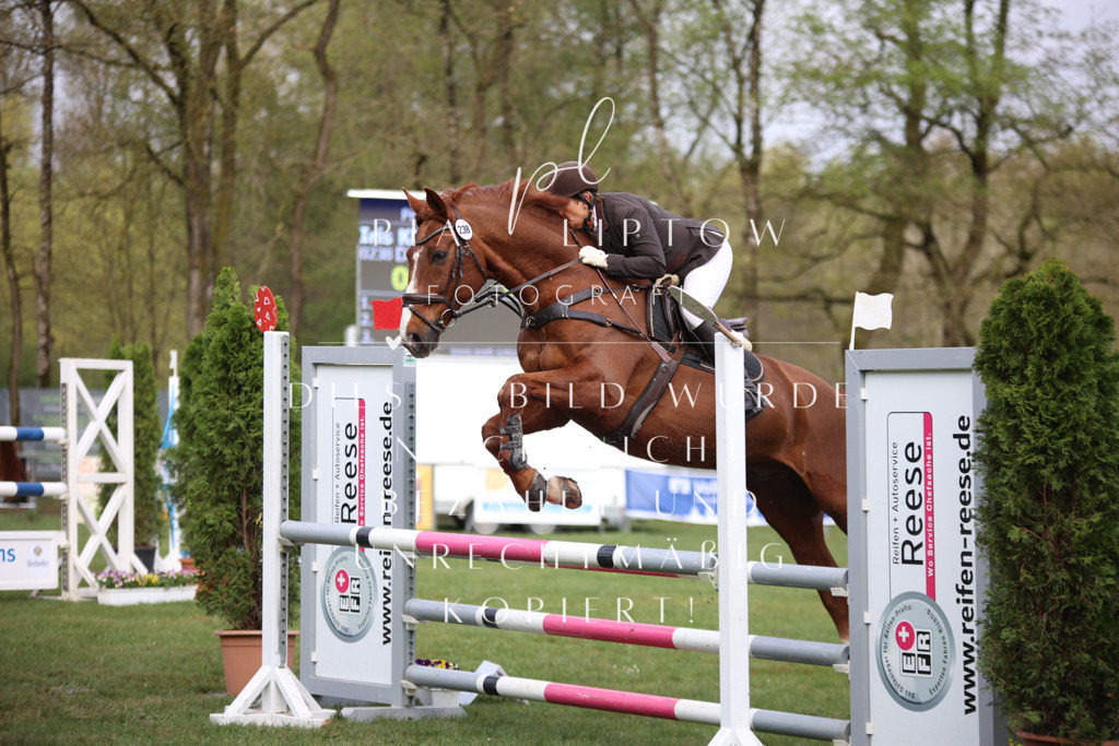 IMGT2299 | pl-fotografie