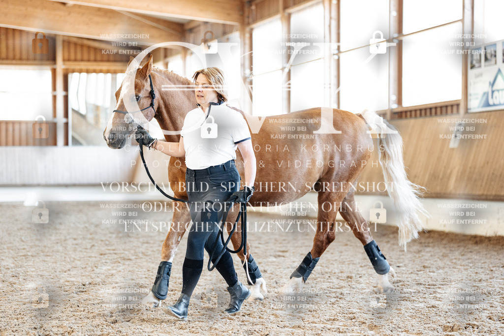 CK906595 | Turnierfotografie Pferdefotografie Trier Rheinland-Pfalz Pferdesport Reitsport Tierfotografie Sportfotografie Pferdevideo Pferdevideografie Equestrianvideography equestrianphotography  - Realisiert mit Pictrs.com